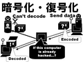 Ź沽沽