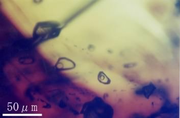 ���̕�L��